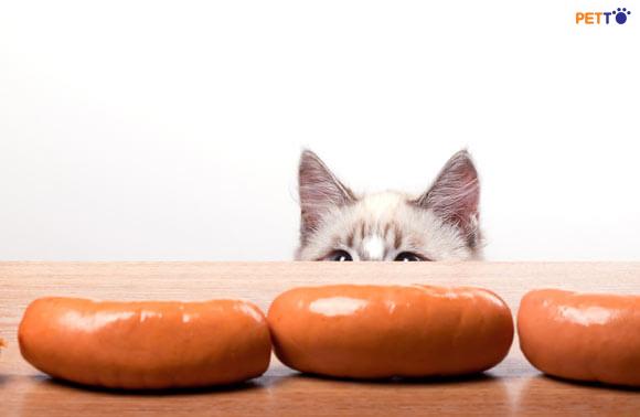 Mèo có ăn được xúc xích của người không