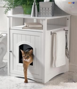 Top 7 vị trí đặt nhà cho chó mèo sang chảnh không phải ai cũng biết - Petto