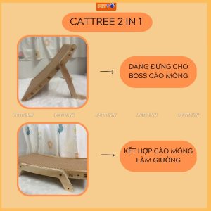 Bàn cào móng cho mèo poly TC010