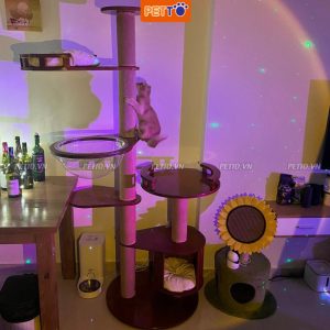 Nhà cây cho mèo xinh xắn (2)