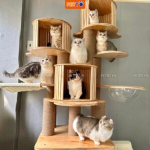 Nhà cây cho mèo khổng lồ độc đáo CBCH035