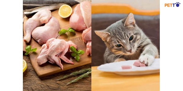 Khi mua thịt gà sống, hãy kiểm tra xem nó có mềm, mịn và mềm mại hay không.