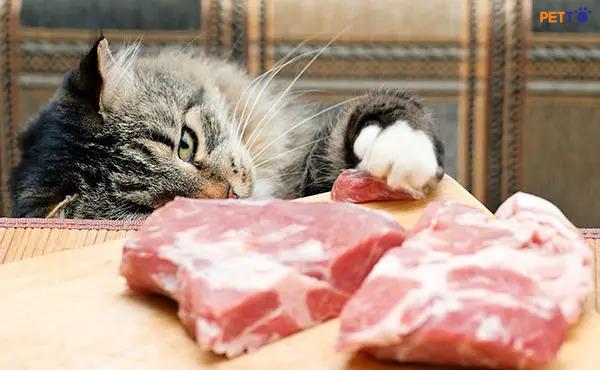 Thịt lợn sống có xu hướng nhiều chất béo hơn so với các loại thịt khác.