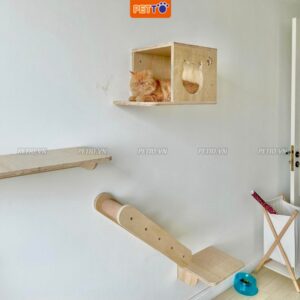 Nhà cho mèo treo tường 5 phụ hiện độc đáo