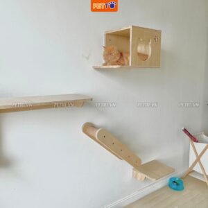 Nhà cho mèo treo tường 5 phụ hiện độc đáo