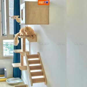 Nhà cho mèo treo tường 5 phụ hiện độc đáo