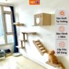 Nhà cho mèo treo tường 5 phụ hiện độc đáo