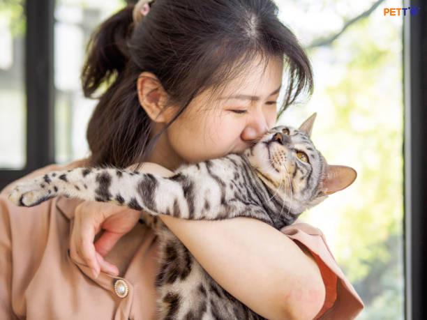 Người trẻ Trung Quốc chọn nuôi thú cưng thay vì lập gia đình