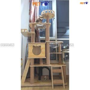 Cattree cho mèo vui chơi, cho nhà nhiều bé CH038