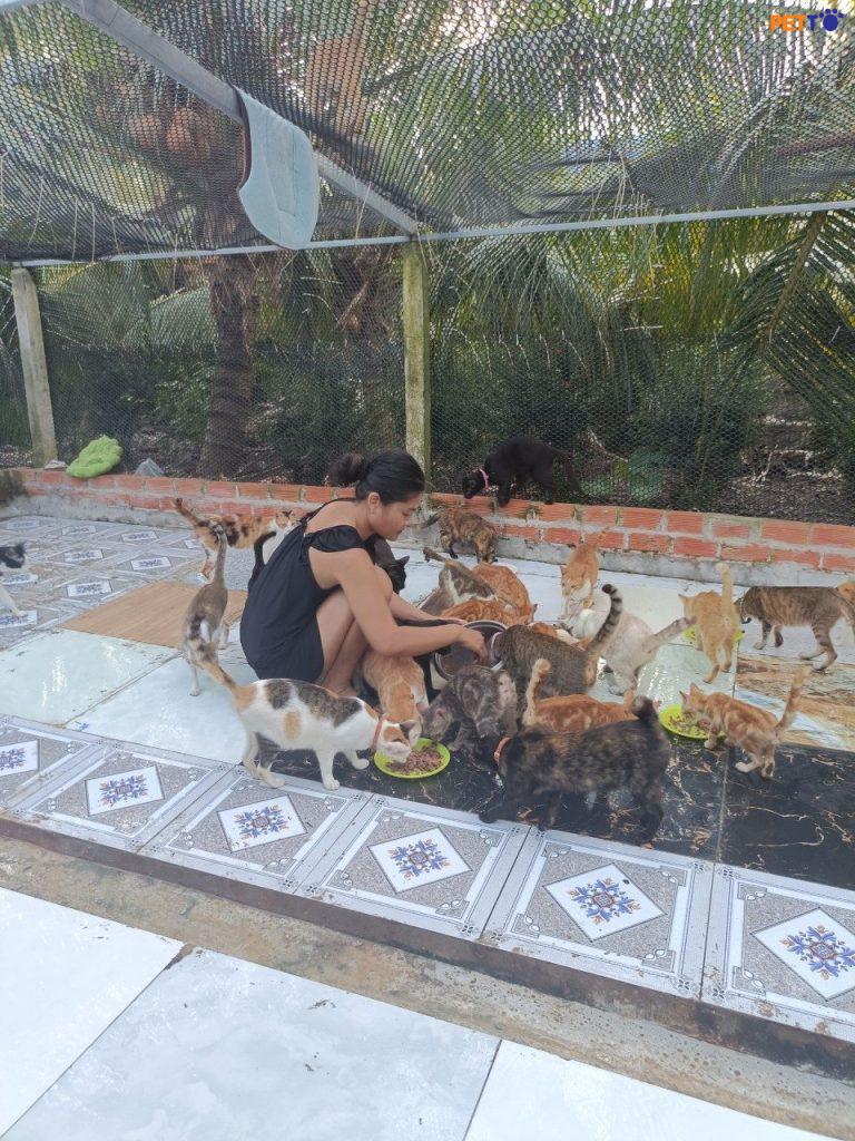 Chị Hà cho các bé ăn