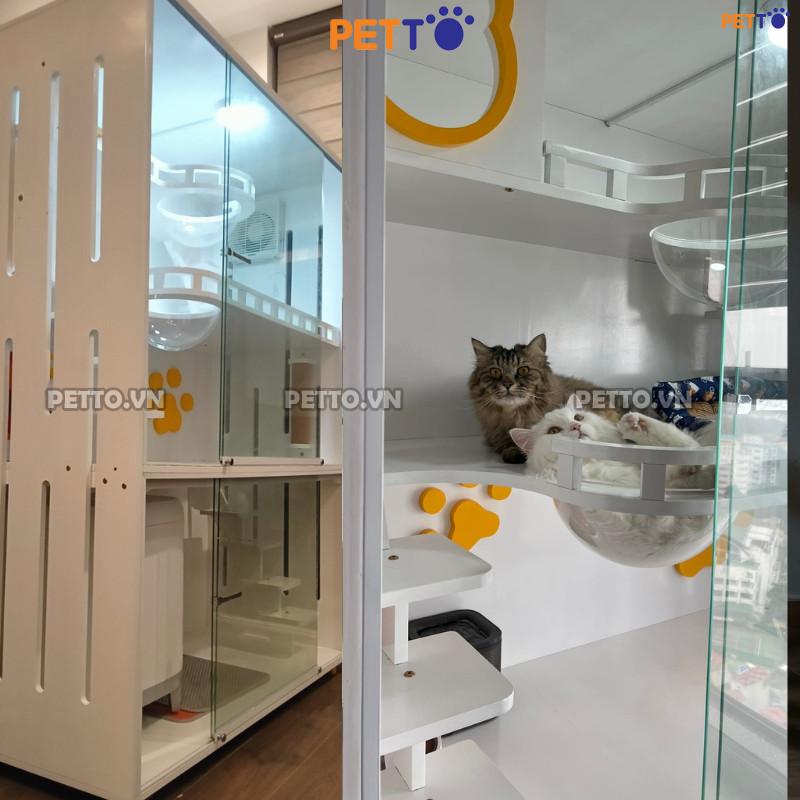 z5167218049400_e9551fe4414ce4935fc449924180d111