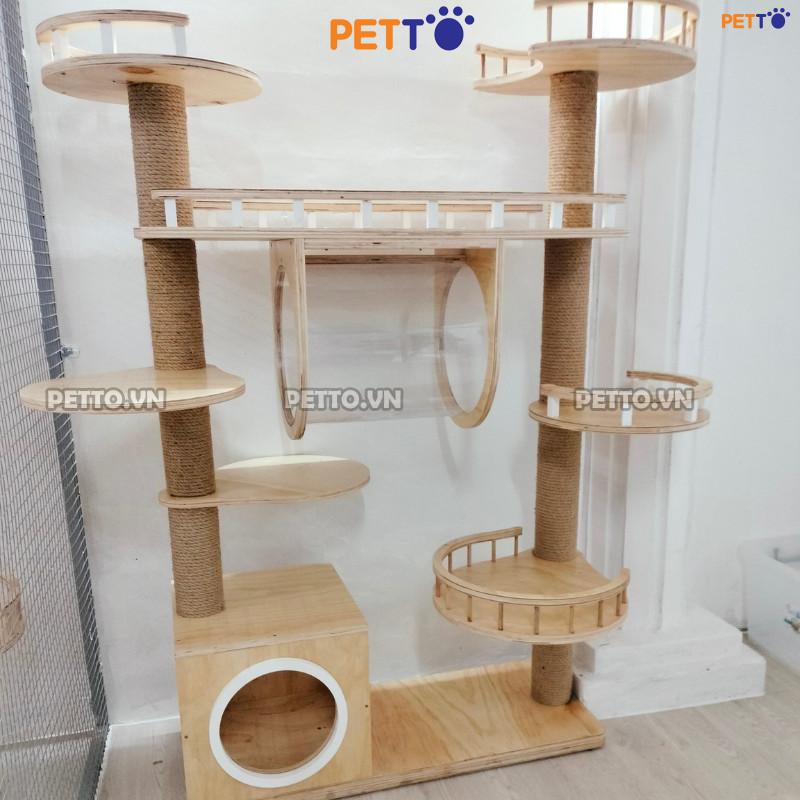 z5336950947818_15f86ae2ae0f8dae17836d55a911fe64