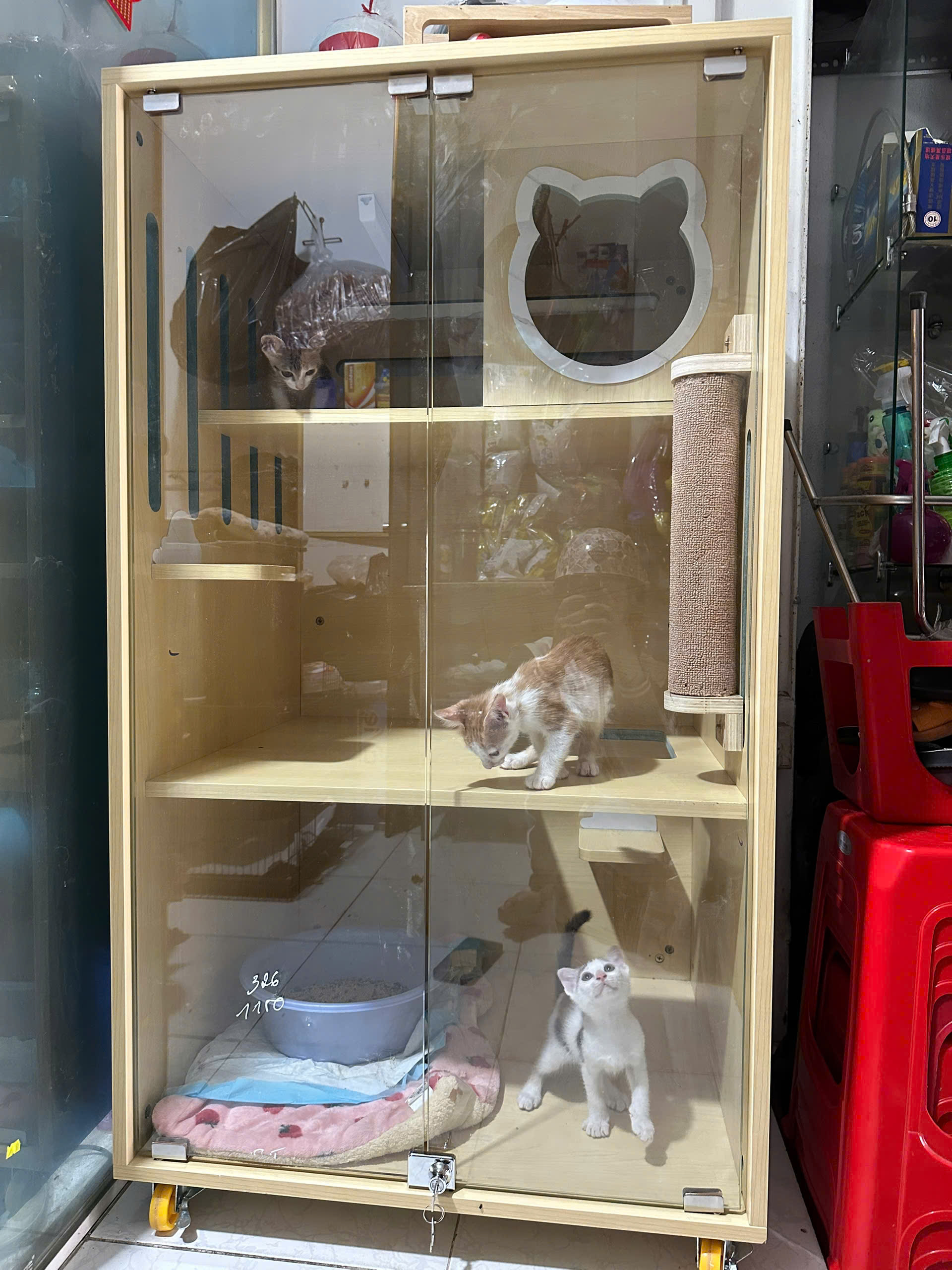 z7122183798960_6a94725ed44df75bc6b4ef08ea9cc38b