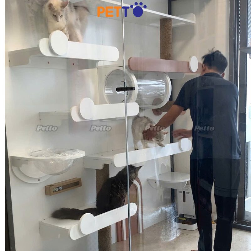 Chuồng nuôi mèo kính bo cong kích thước 2000mm x 1500mm x 2200mm CC208