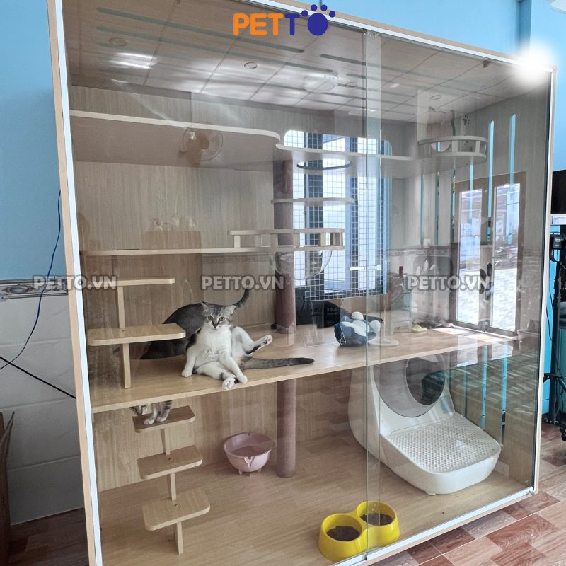 Tủ mèo basic bằng gỗ MDF kích thước 2000mm x 1000mm x 2000mm CC085