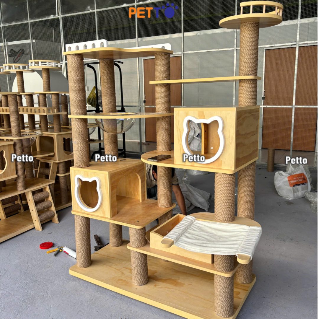 Cat tree cho mèo bằng gỗ Plywood nhiều tiện nghi CH079