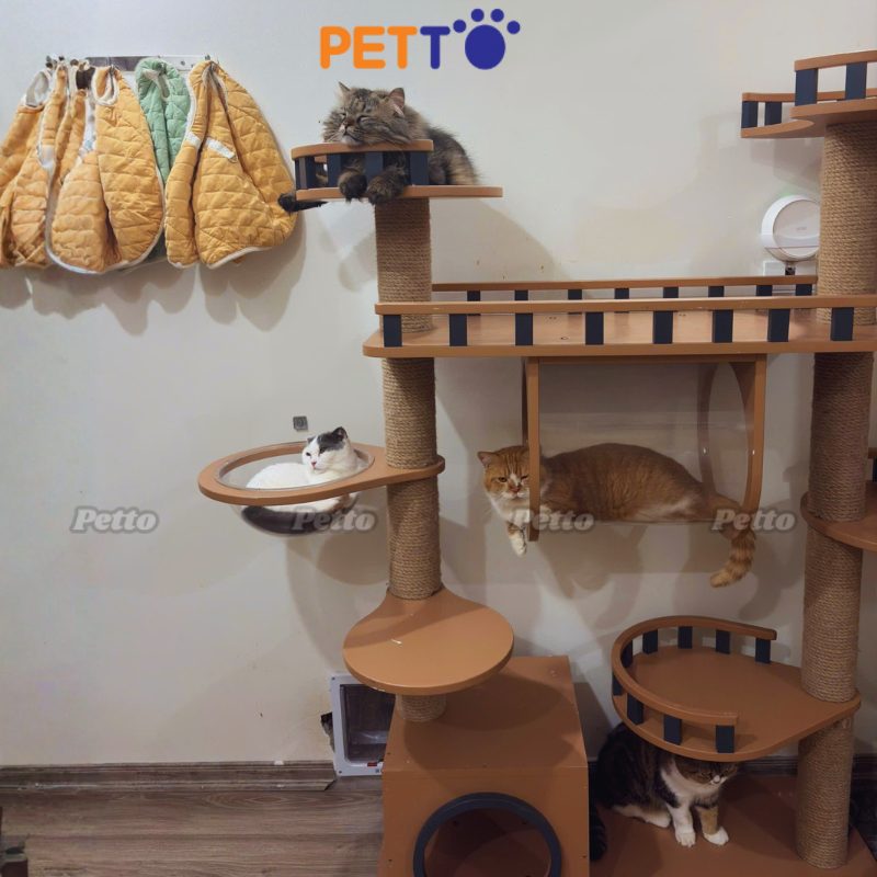 Nhà cây mèo bằng màu nâu đỏ gỗ Plywood CH069